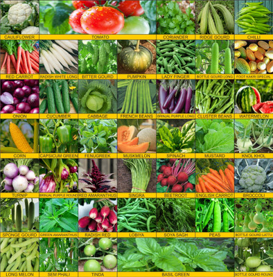Agrey Agrey combo of 45 variety vegetable seeds with instruction manual. Seed(45 per packet)