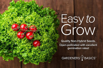 VibeX NBIR-76 - Romaine Lettuce - (1350 Seeds) Seed(1350 per packet)