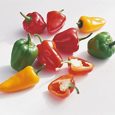 KNESSiN Capsicum Multicolor Seed(50 per packet)