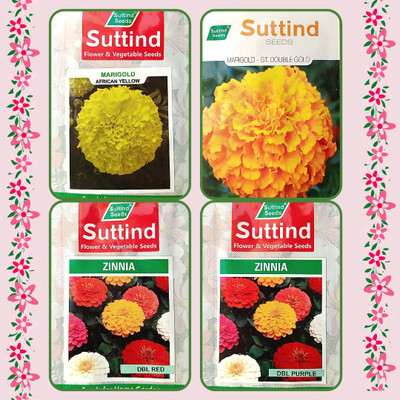 CYBEXIS Pack Of 4 MARIGOLD AND ZINNIA FLOWER Seed(10 g)