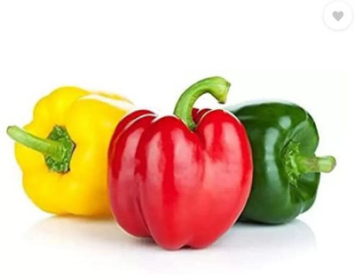 Aywal Mix Color shimla mirch Capsicum Seed(60 per packet)