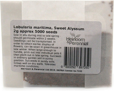 CYBEXIS Alyssum - Rockery Flower Seed(50 per packet)