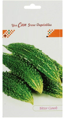 CYBEXIS Bitter Gourd Hybrid Seeds-100 Seeds Seed(100 per packet)