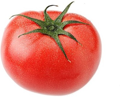 Avysa High Quality Tomato Seed(1000 per packet)