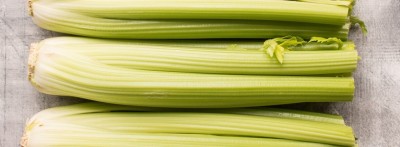 Quentova Organic Green Celery Vegetable-10C-HUA Seed(150 per packet)