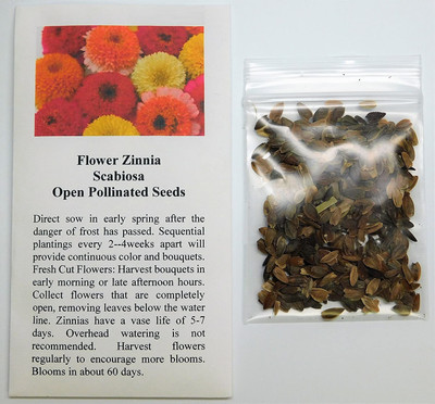 VibeX PAU-28 - Zinnia Mixed Colors Scabiosa Non-GMO Open Pollinated - (30 Seeds) Seed(30 per packet)