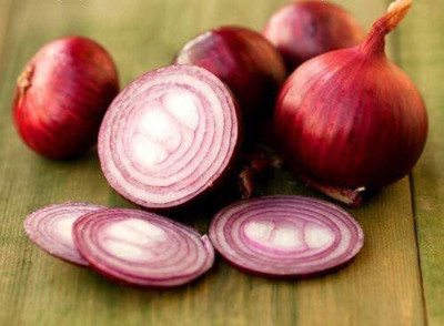 CYBEXIS Seeds of Red Onion Wenta (Allium Cepa)1000 Seeds Seed(1000 per packet)