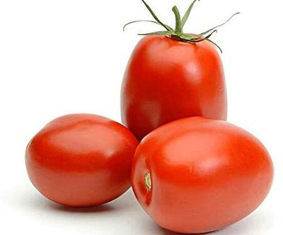 WILLVINE Salad Plum Tomato Seeds [25g, 7500 Seeds] Seed(7500 per packet)