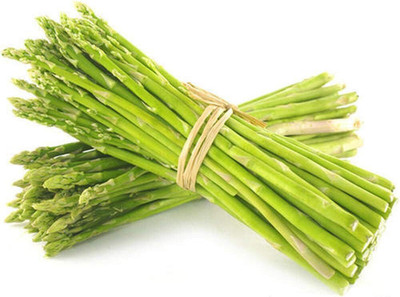 KNESSiN Hybrid Asparagus Easy to Plant[200 Seeds] Seed(200 per packet)