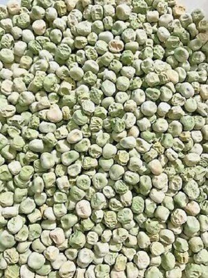 VibeX Pea Seeds Seed(50 per packet)