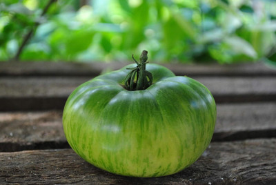 Qualtivate ICRA-5A Rare Tomato Green Zebra Seed(300 per packet)