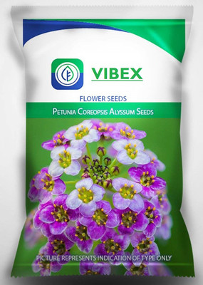CYBEXIS Flower Seed Alyssum Carpet Annual Ground Seed(50 per packet)