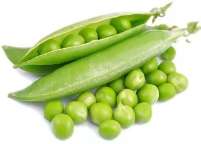 MYLAWN Green Peas Matar Seed(400 per packet)