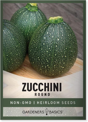 Qualtivate VXL-3AT Round Zucchini for Planting Seed(30 per packet)