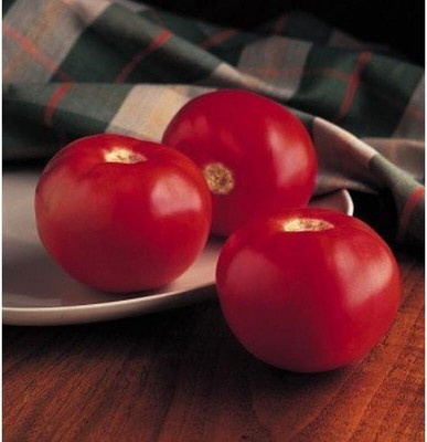 Biosnyg Hybrid Bobcat Tomato Seeds For Kitchen Gardening - (2000 Seeds) Seed(2000 per packet)