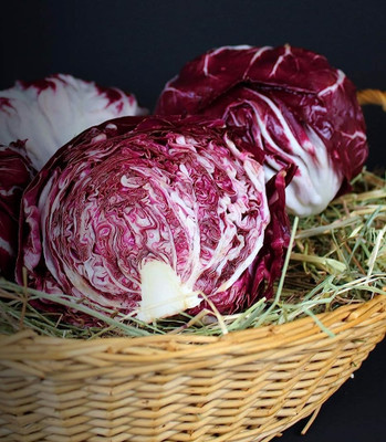 WILLVINE MEH -IX Red Acre Cabbage Seeds [1g] Seed(300 per packet)
