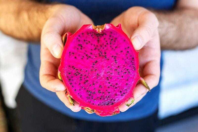 Oliver hybrid dragon fruit seed Seed(367 per packet)