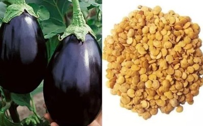 jkfarm Brinjal, Baingan, Begun seeds for planting, High Germination Seed(150 per packet)