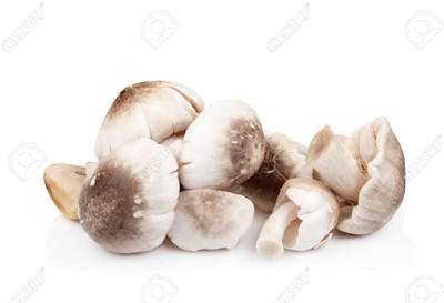 grenfel First Generation 425Gm Paddy Straw Mushroom Spawn Seed(425 g)