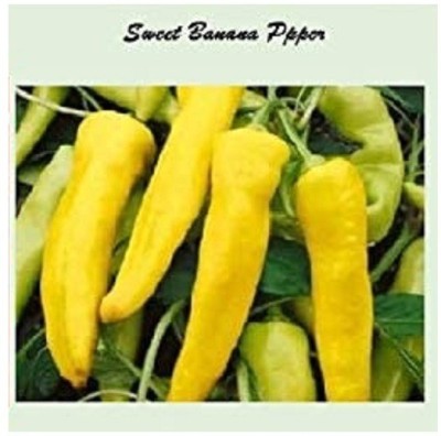 CYBEXIS Banana Sweet Pepper-300 Seeds Seed(300 per packet)