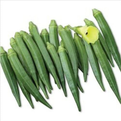 LPR LADY FINGER, (BINDI) Seed(100 per packet)