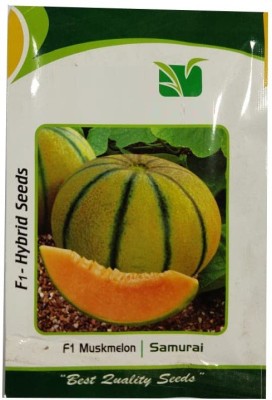 VibeX NBIR-59 - Hybrid Muskmelon - (450 Seeds) Seed(450 per packet)