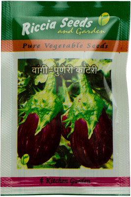 Cloud Farm Brinjal (Eggplant/Vangi) - Puneri Kateri - Non-GMO Vegetable [1gm Seeds] Seed(1 g)