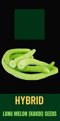 Qualtivate PUA-3A Kakri - Long Melon Seed(200 per packet)