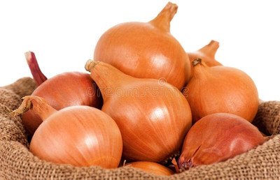 WILLVINE NKR -IX Onion golden F1 Hybrid seeds [25g] Seed(15000 per packet)