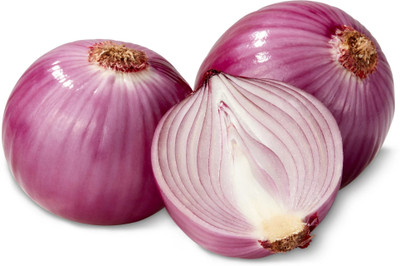 WATIKA Red Onion Seed(1500 per packet)