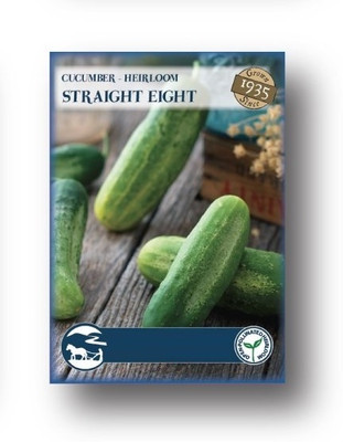 Biosnyg Cucumber Vegetable Seeds[500 Seeds] Seed(500 per packet)