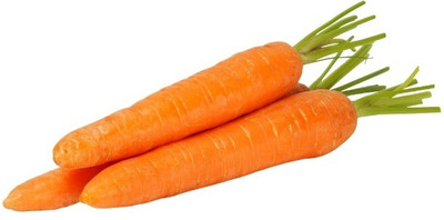 Quentova Carrot - Orange Vegetable-7R-RJ Seed(250 per packet)