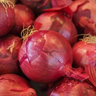 Aywal Dark Red Onion High Germination Home And Garden Seed(2500 per packet)