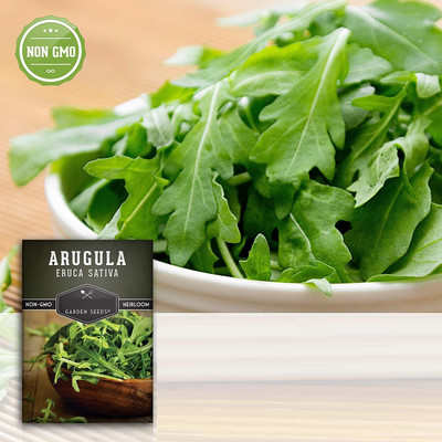 CYBEXIS LX-64 - Wild Arugula - (750 Seeds) Seed(750 per packet)