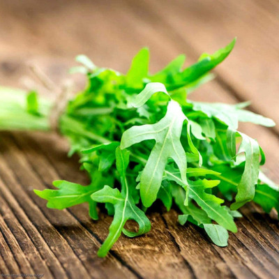 CYBEXIS KGF -54 - Arugula Italian Cress Rocket - (750 Seeds) Seed(750 per packet)