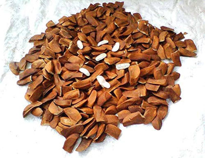 ibains Sky fruit tree seed Seed(20 per packet)