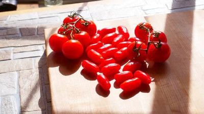CYBEXIS San Marzano Tomatoes2000 Seeds Seed(2000 per packet)