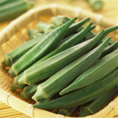 CYBEXIS F1 Hybrid Okra Seeds800 Seeds Seed(800 per packet)