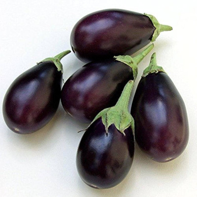 wequality brinjal white f1 round seeds/brinjal seeds 68 Seed(68 per packet)