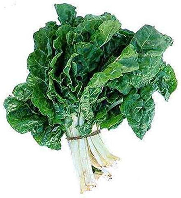 ActrovaX Organic Desi Kantewali Spinach Palak Seed(32000 per packet)