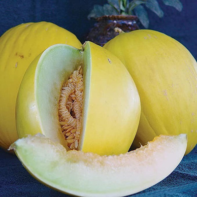 Chalisa Muskmelon, Kharbuja Seed(25 per packet)