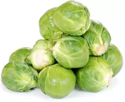 MAA Cabbage Seed(60 per packet)