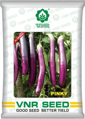 the green dotcom vnr PINKY hybrid brinjal Seed (10 g) Seed(55 per packet)