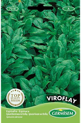 KNESSiN Viroflay Spinach Seed(1250 per packet)