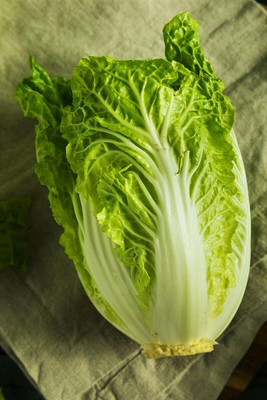 WILLVINE SCI -X Chinese Napa Cabbage Seeds [50g] Seed(15000 per packet)