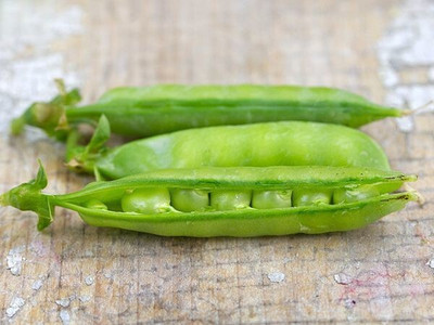 Quentova Green Peas Matar-KTL-7E Seed(300 per packet)