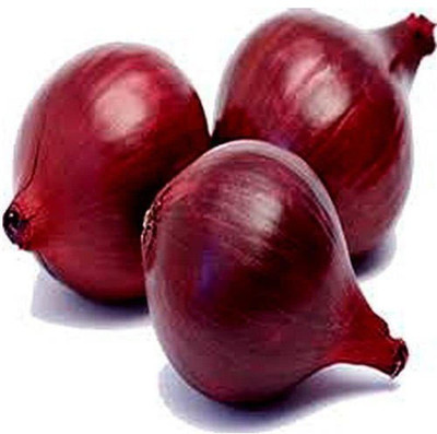 Qualtivate PUAS-8A Onion Red F1 Hybrid Seeds Seed(500 per packet)