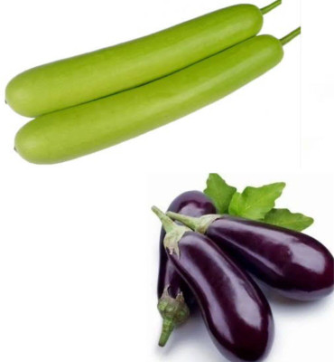 PSAgroinput Bottlegourd -Brinjal Seed(100 g)