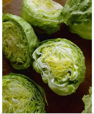 Qualtivate GBPT-3A Lettuce Iceberg Batavian Seed(300 per packet)