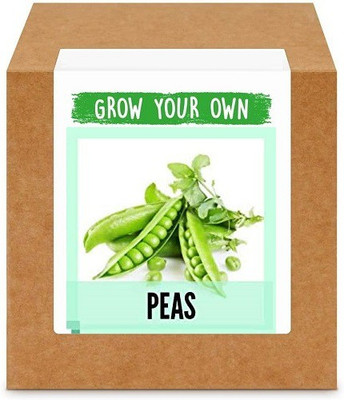 CYBEXIS Peas400 Seeds Seed(400 per packet)